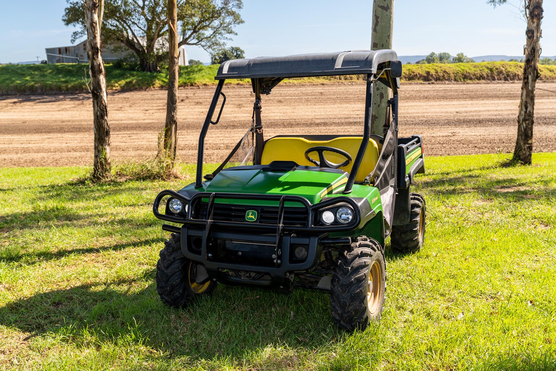 We Organize! | Bibi's bitch needs to be stopped from stealing more ...